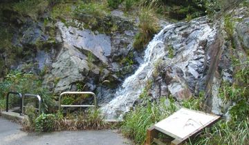 大山の石英閃長岩とホルンフェルス | 隠岐の宝物たち・ジオパーク