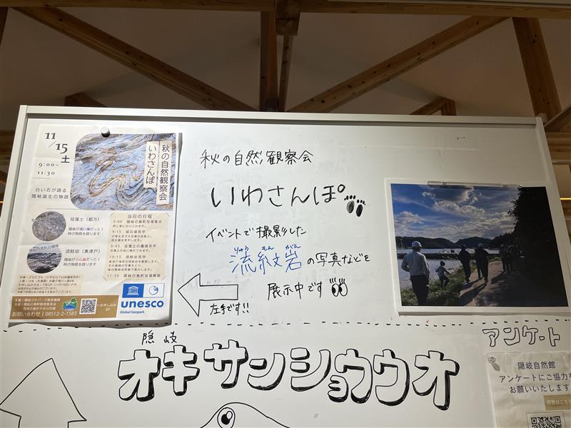 隠岐自然館展示の様子